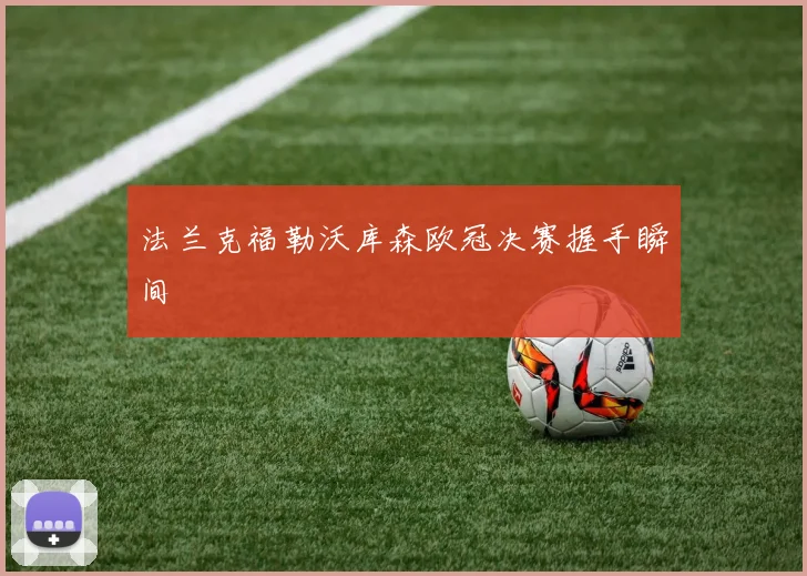 法兰克福勒沃库森欧冠决赛握手瞬间