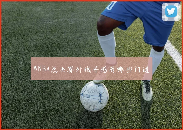 WNBA总决赛外线手感有哪些门道
