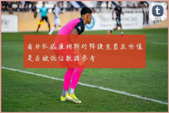 南非队威廉姆斯对阵捷克首发价值是否被低估数据参考