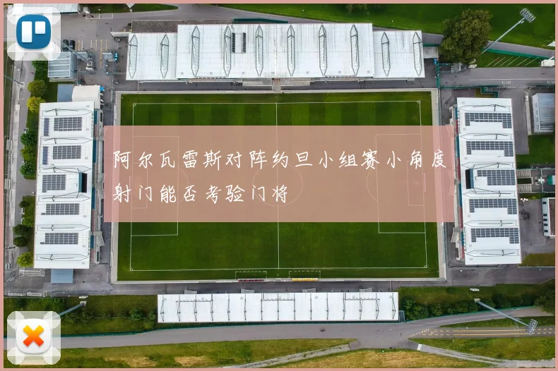 阿尔瓦雷斯对阵约旦小组赛小角度射门能否考验门将