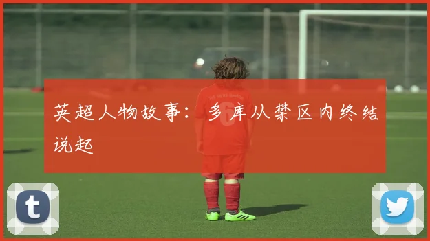 英超人物故事：多库从禁区内终结说起