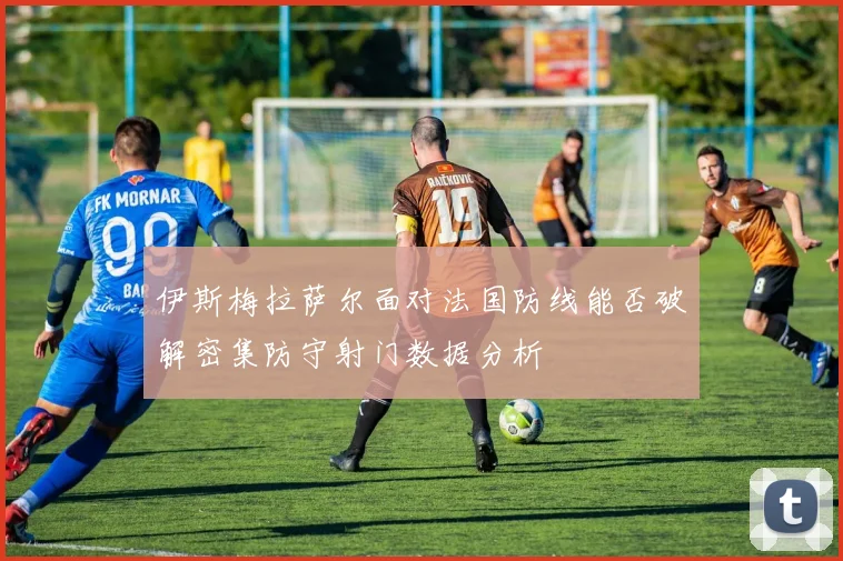 伊斯梅拉萨尔面对法国防线能否破解密集防守射门数据分析