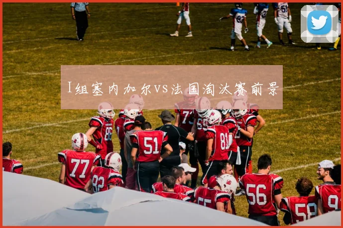I组塞内加尔vs法国淘汰赛前景
